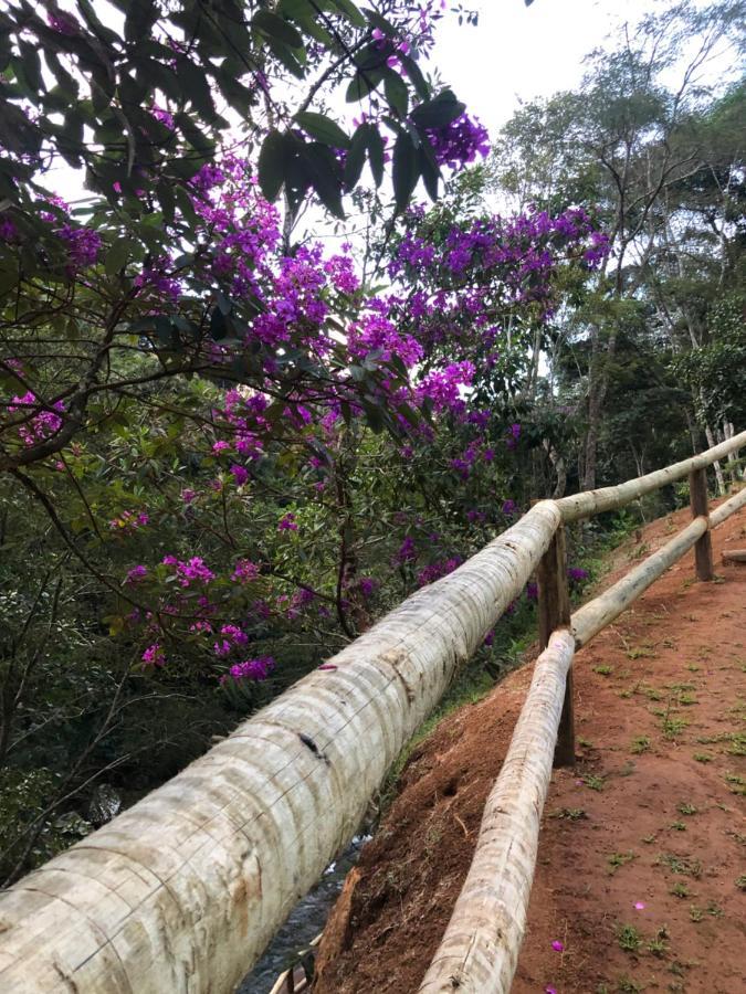 Recanto Da Ruína Alojamento de Turismo Selvagem *