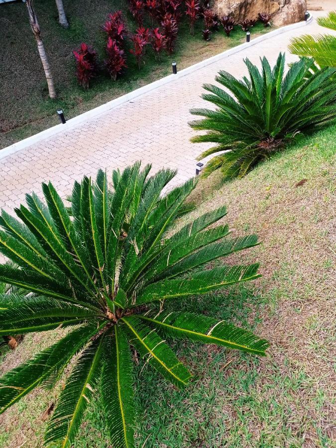 Recanto Da Ruína Alojamento de Turismo Selvagem *