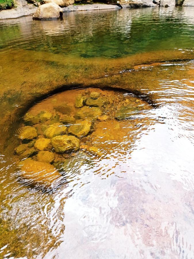 Alojamento de Turismo Selvagem Recanto Da Ruína