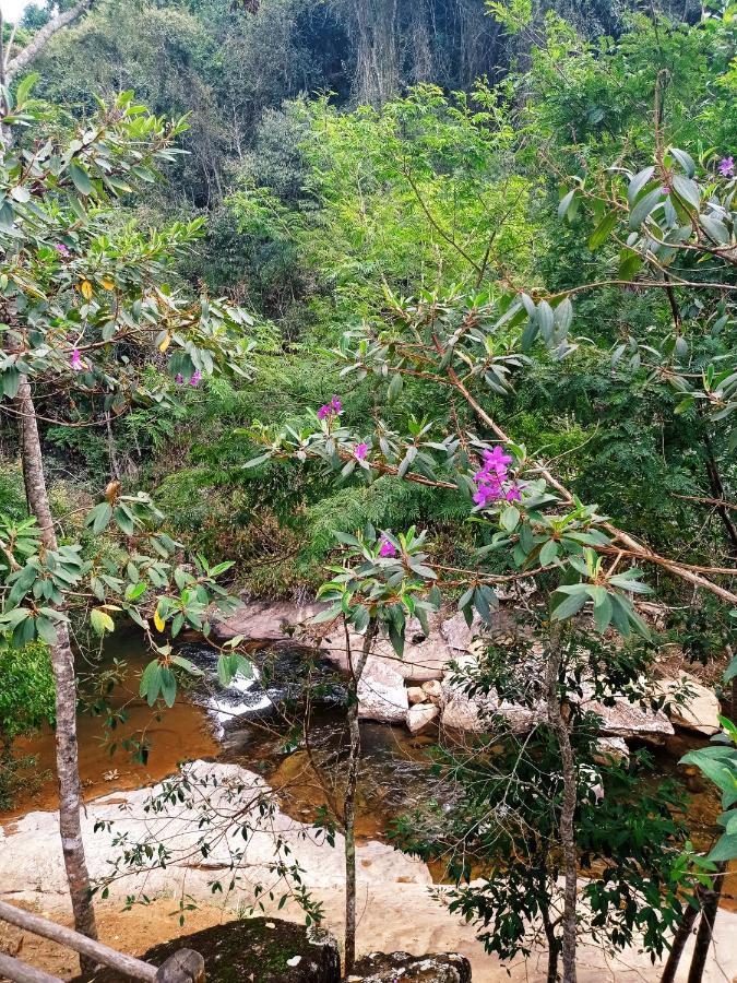 Recanto Da Ruína Alojamento de Turismo Selvagem Pedra Menina
