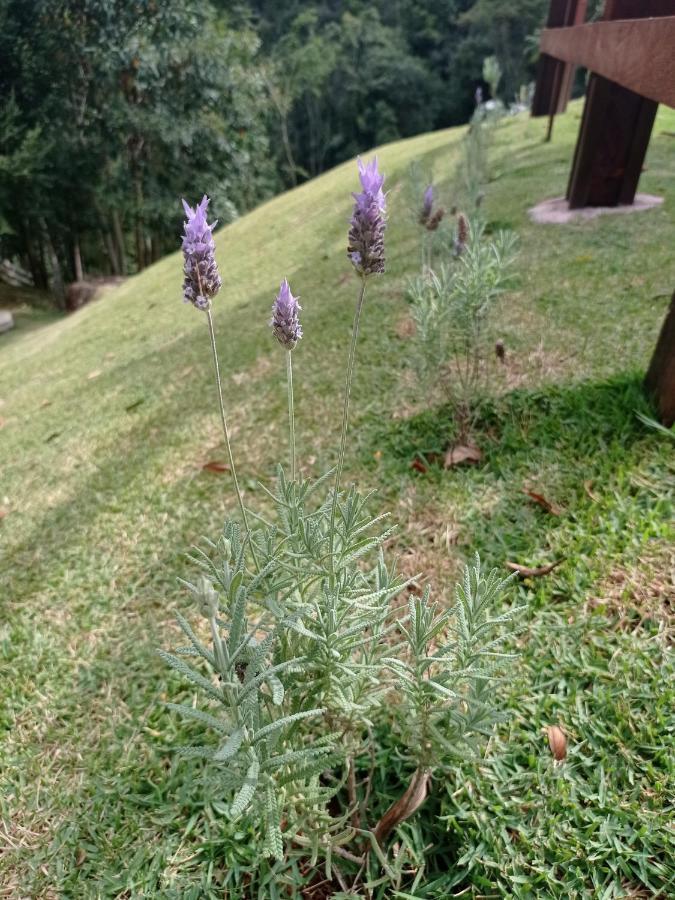 Recanto Da Ruína