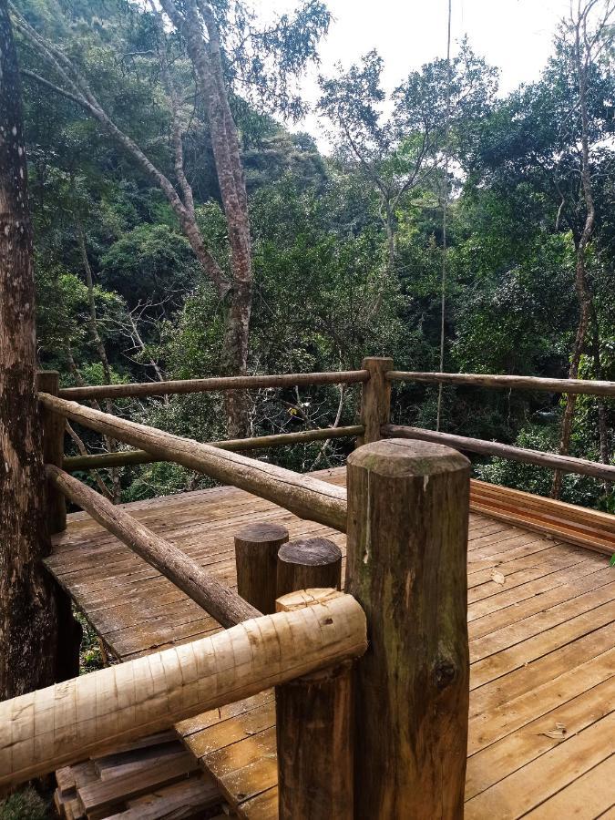 Recanto Da Ruína Alojamento de Turismo Selvagem Pedra Menina