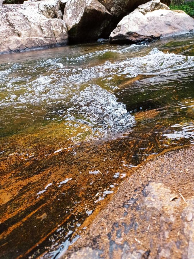 Recanto Da Ruína Alojamento de Turismo Selvagem Pedra Menina