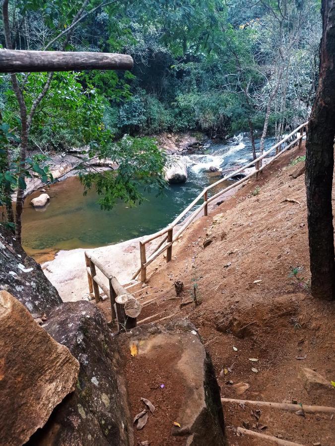 Alojamento de Turismo Selvagem Recanto Da Ruína *